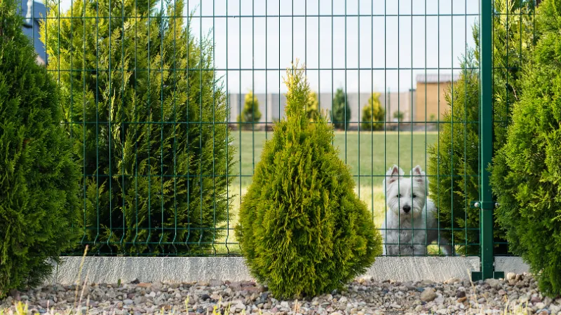 3D kerítés kertben, biztonságos határolás családi háznál